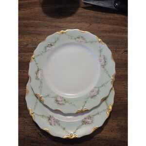 Vintage Pirkenhammer Tea Saucers  Set Of Two Ramblin Rose White W/ Green Pink...